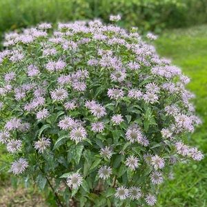 Hi thanks for looking at my items for sale! Please feel free to ask questions